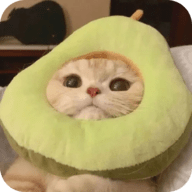 9.1直播免费APP应用